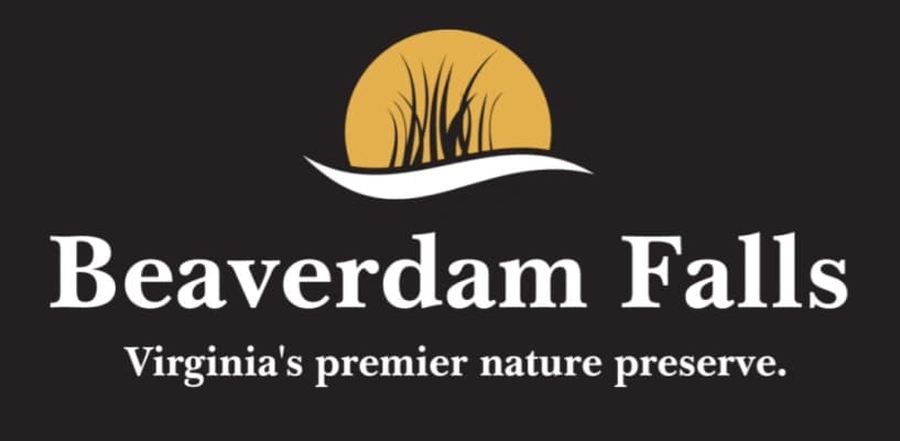Beaverdam Falls